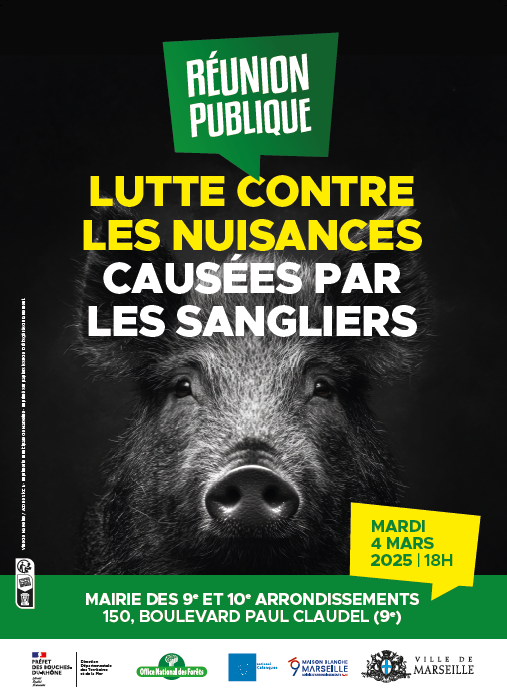 Lutte contre les nuisances causées par les sangliers Compte rendu de la ...